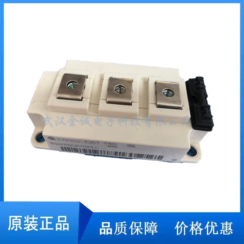BSM100GB170DLC
